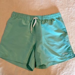Chubbies Men’s Medium Mint Green Swim Trunks